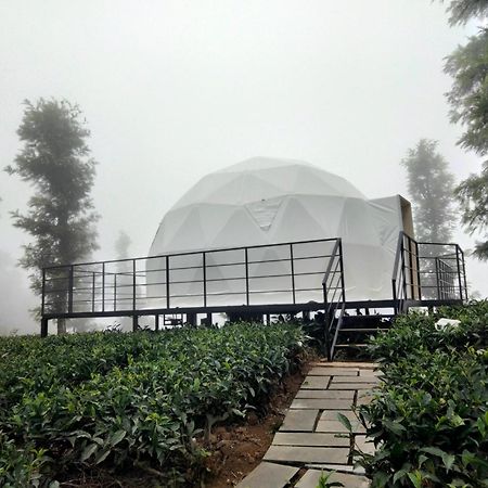 Vythiri Tea Valley I Best Hotel In Wayanad L Hotels In Vythiri Wayanad Buitenkant foto