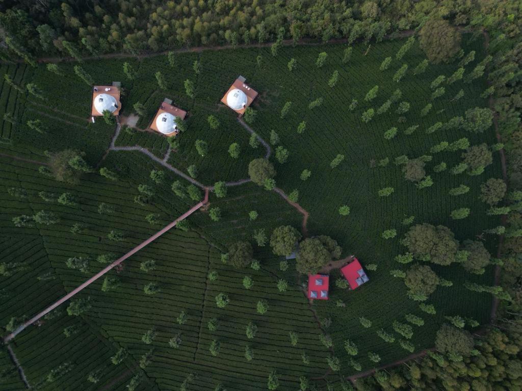 Vythiri Tea Valley I Best Hotel In Wayanad L Hotels In Vythiri Wayanad Buitenkant foto