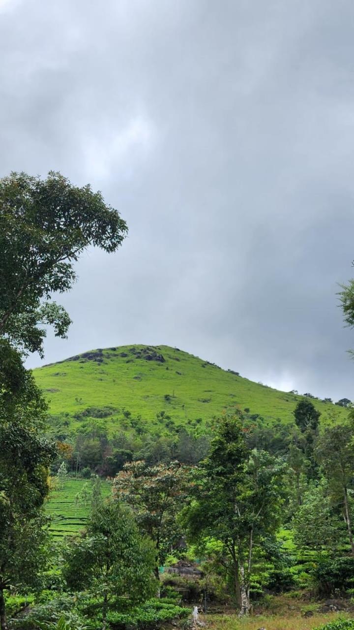Vythiri Tea Valley I Best Hotel In Wayanad L Hotels In Vythiri Wayanad Buitenkant foto