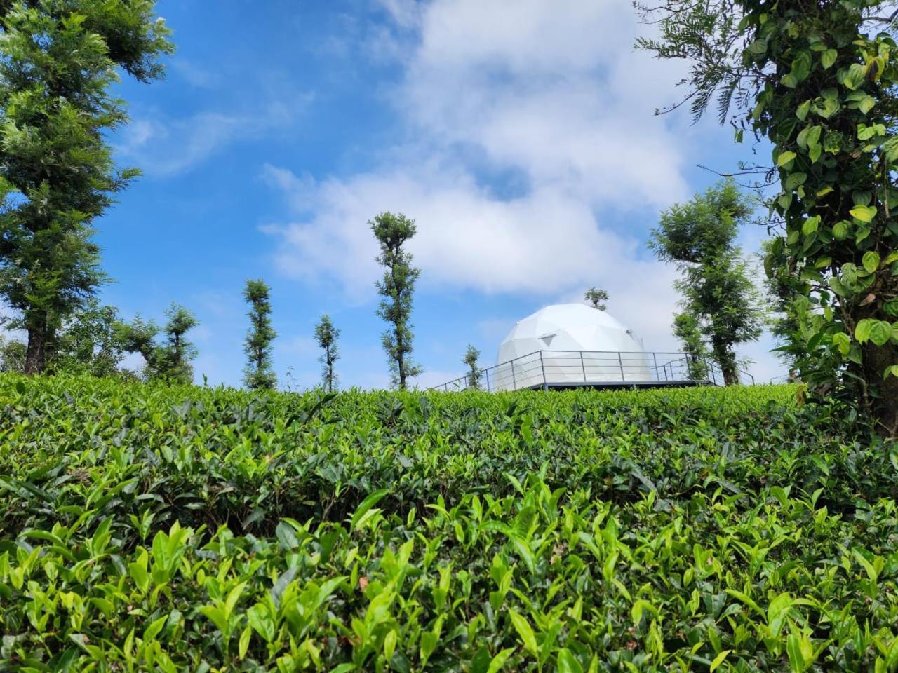 Vythiri Tea Valley I Best Hotel In Wayanad L Hotels In Vythiri Wayanad Buitenkant foto