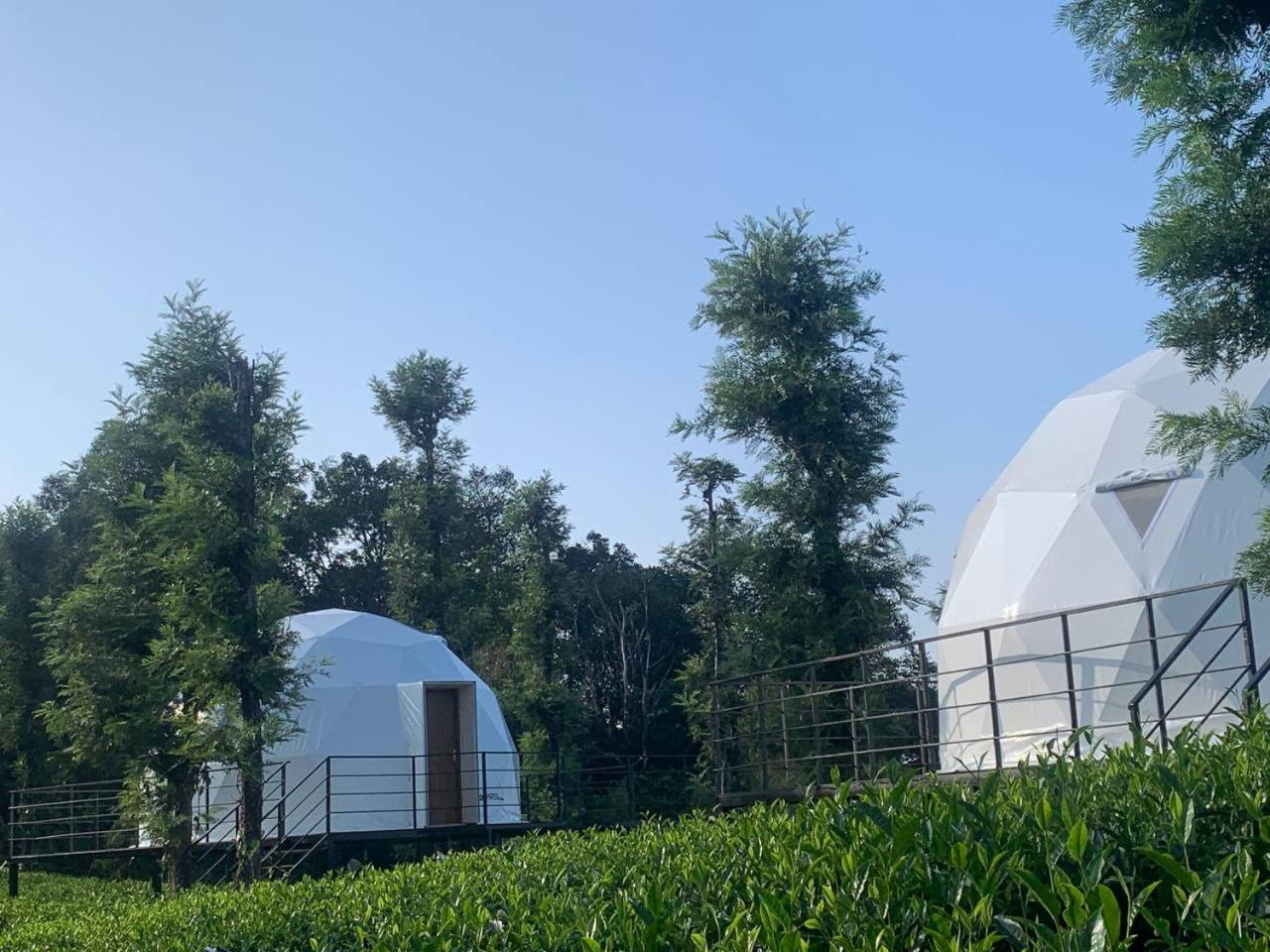 Vythiri Tea Valley I Best Hotel In Wayanad L Hotels In Vythiri Wayanad Buitenkant foto